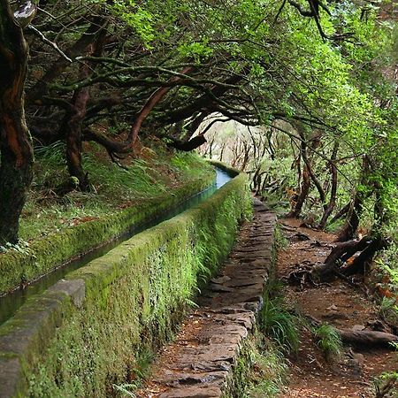 São Vicente Moradia Ponte De Pedraヴィラ エクステリア 写真