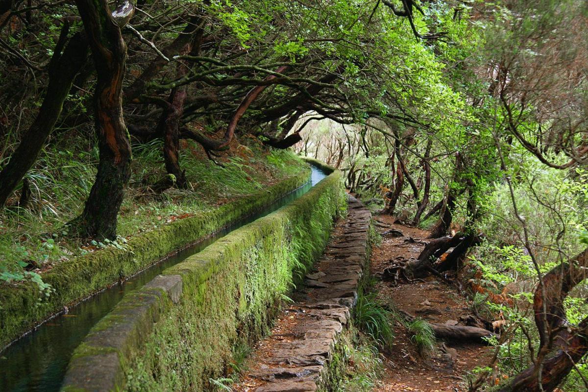 São Vicente Moradia Ponte De Pedraヴィラ エクステリア 写真
